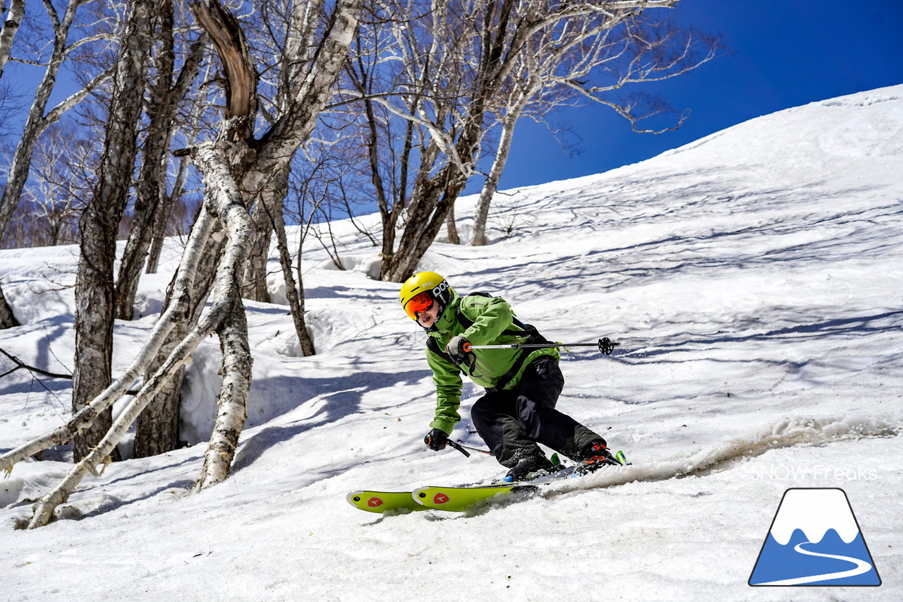 ニセコグラン・ヒラフ DYNASTAR SKI TEST RIDE DAYS Photo Session!!最高の天気に恵まれたニセコに、最高の仲間たちが集まりました☆